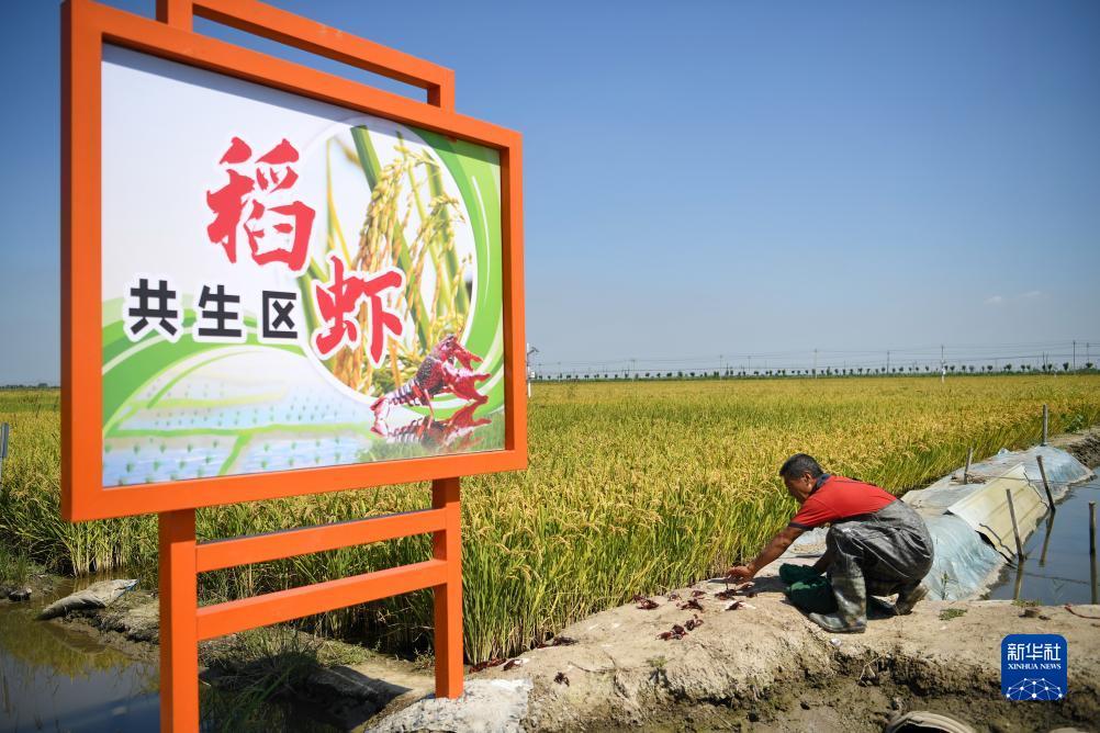 娱乐电子游戏试玩
